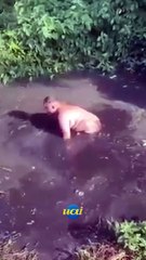 Homem se joga em esgoto para salvar celular