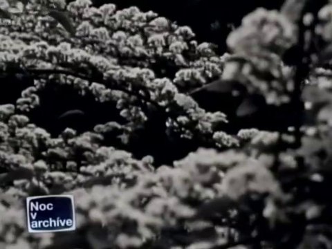 20-263024ncva22-5329-5600 [Colegi*um Mu*sicum]