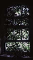 Karwae Log Aksar Sache Hote Hain | Sad Poetry | Deep Lines