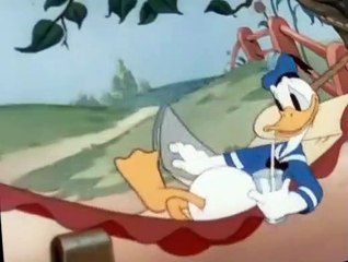 Donald Duck Donald Duck E064 Donald’s Decision