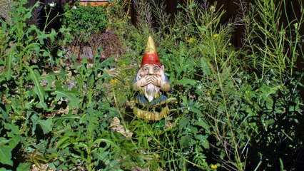 Here's What to Know About the "No Mow May" Movement