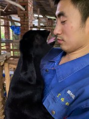 Man having conversations with his Goat