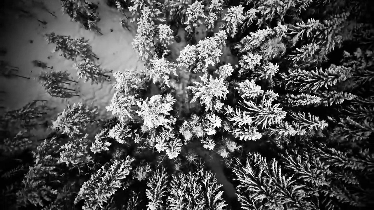 Marillion: Seasons Change | movie | 2023 | Official Trailer