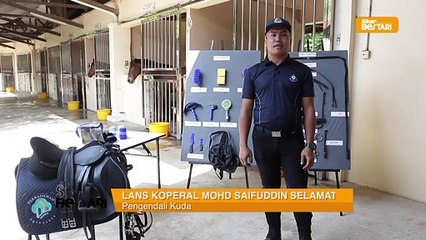 Kelengkapan Peralatan Menunggang Kuda
