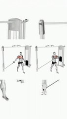 Chest Workout at Gym #chestworkout