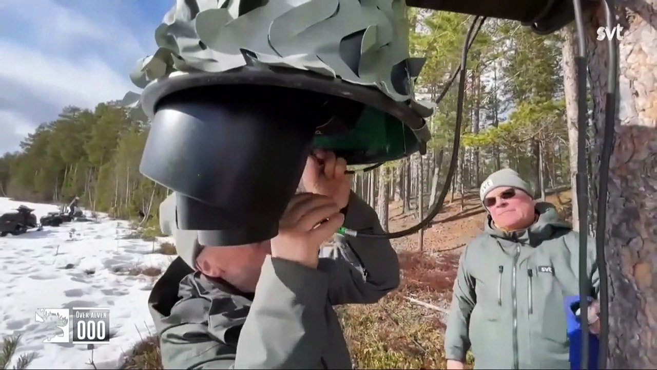 Natur-Dokus in Echtzeit: In Schweden boomt 'Slow-TV'