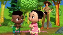 Cody and Cece Help the Baby Duck! - Cody & JJ! It's Play Time! CoComelon Kids Songs