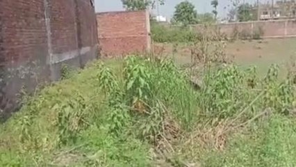 शहडोल: नेताजी की दबंगई,गरीब की जमीन पर कब्जा,देखें आरोप