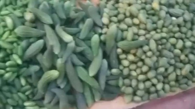 महाराजगंज: हरी सब्जियों के दाम छू रहे आसमान, खाने की थाली से होने लगी दूर