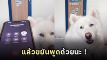 รับมือแก๊งคอลฯ เมื่อคนไม่ได้คุย คนคุยไม่ใช่คน กลายเป็นไวรัลฮา 7 ล้าน