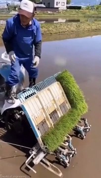 Innovation, Smart Planting Solution #shorts #viral #shortsvideo #video #innovationhub