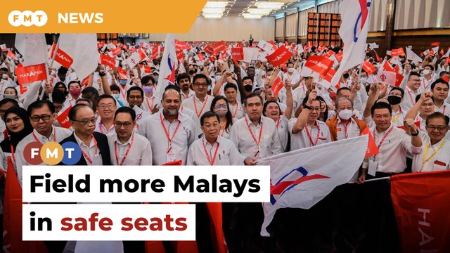 Use safe seats to get more Malays elected, DAP told