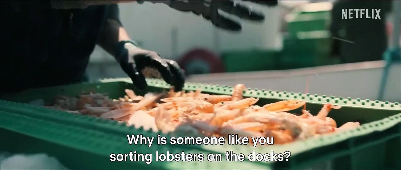 A beautiful life trailer omeu