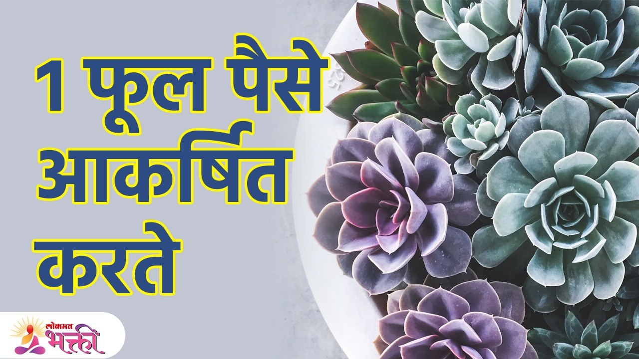 "हे" फुल सुगंधासोबत सुख-समृद्धी वाढवते | Vastu Tips For Money | Vastu Tips In Marathi | KA3