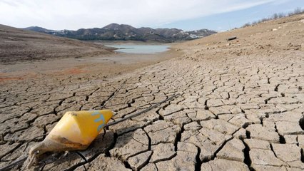 Descargar video: Detenidas 26 personas por supuestos delitos contra recursos naturales y medio ambiente