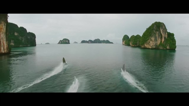 En eaux (très) troubles - trailer