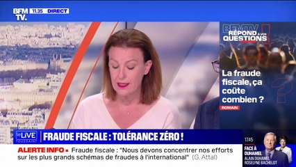 Combien coûte la fraude fiscale ? BFMTV répond à vos questions