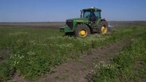 Los campos minados suponen un riesgo para la cosecha ucraniana