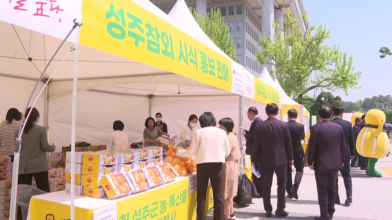[기업] 농협, 제철 맞은 성주 참외 직판 행사...최대 40% 할인 / YTN