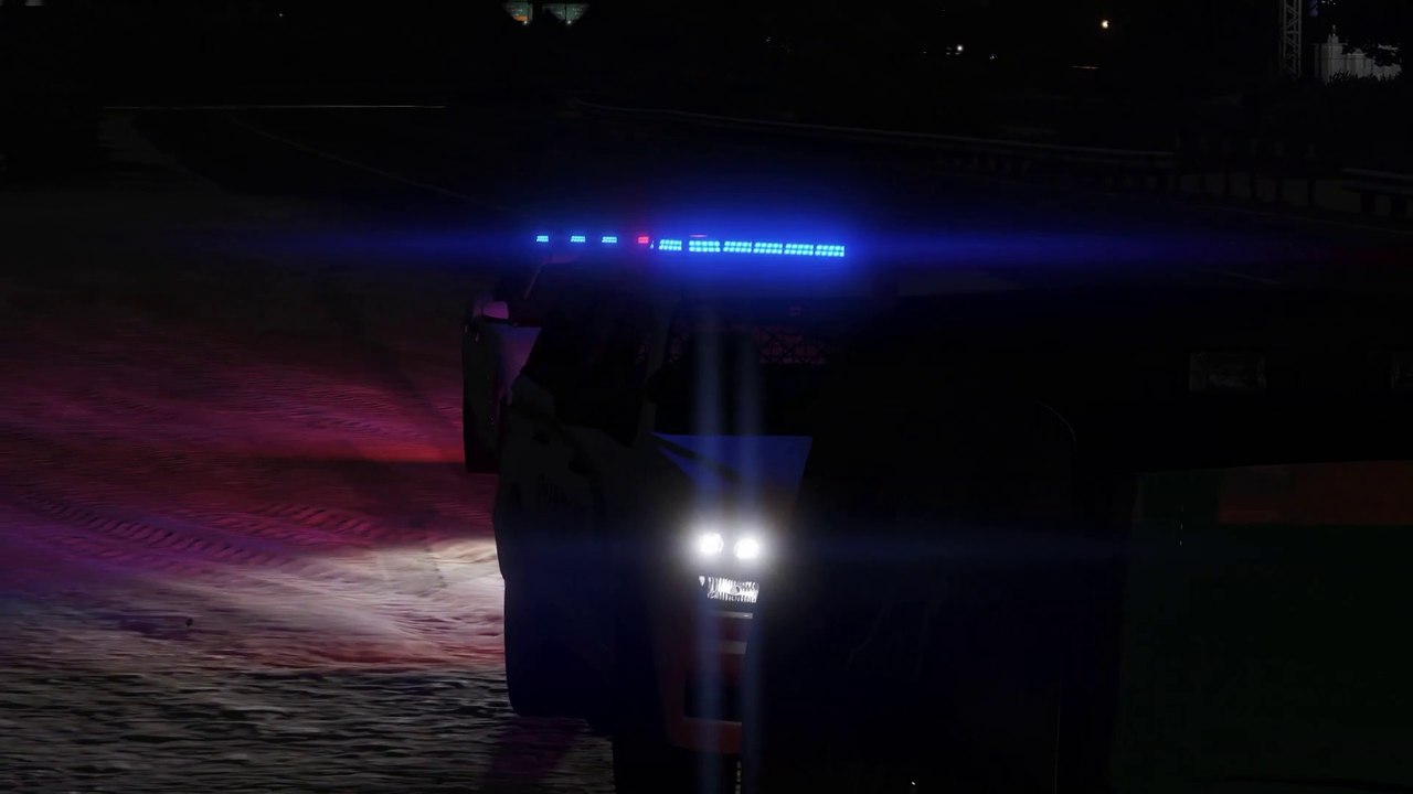 GTA 5 - Traffic Stop Backup