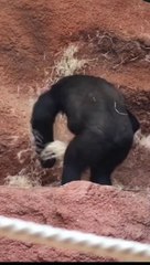 what they are doing now