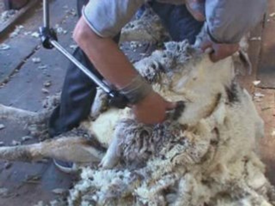 ARGENTINE  DIAPORAMA  DE  LA  PATAGONIE