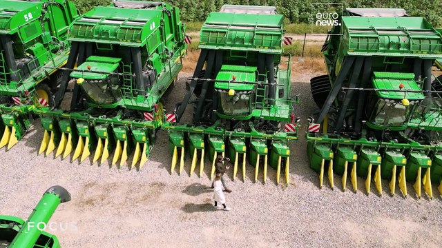 От агросектора до финтеха: иностранные инвесторы выбирают Узбекистан