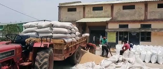 मंड़ी में किसान की उपज की खरीदी करते हुए