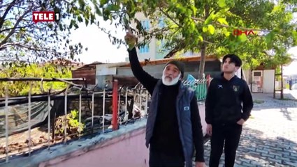 "Aile kaçarken yanlarına almayı unuttu" iddiası! 4 yaşındaki çocuk yangında öldü