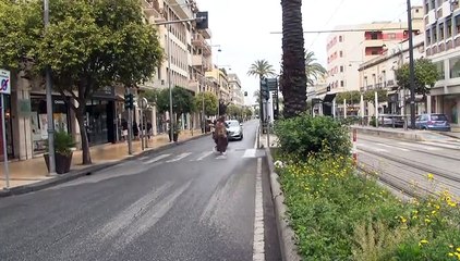 Viale San Martino, son tornate le auto