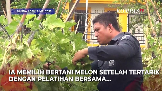 Isi Waktu Luang di Waktu Dinas, Polisi Ini Untung Banyak dari Bertani