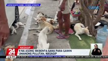 9 na asong ibebenta sana para gawin umanong pulutan, nasagip | 24 Oras