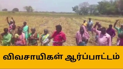 திட்டக்குடி:இழப்பீடு வழங்க வலியுறுத்தி விவசாயிகள் ஆர்ப்பாட்டம்!