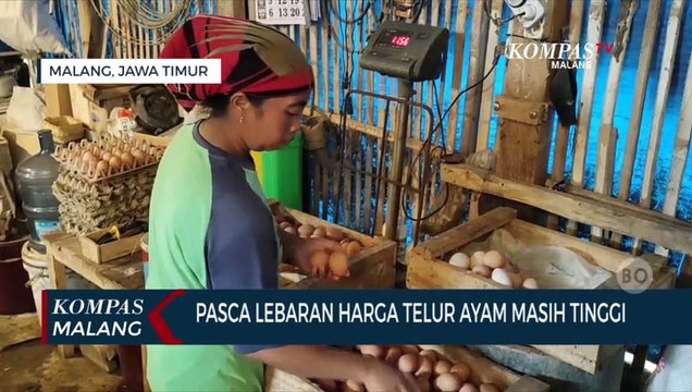 Pasca Lebaran Harga Telur Ayam Masih Tinggi