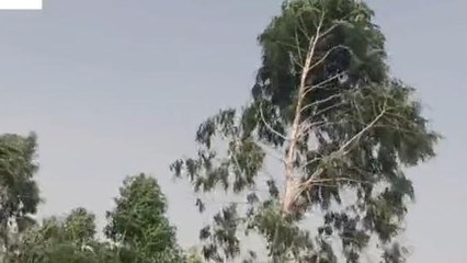 सुपौल: मौसम विभाग के हाई अलर्ट के बाद दिखने लगा मोचा तूफान का असर, देखिये खबर