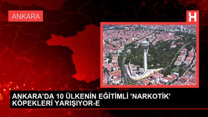 ANKARA'DA 10 ÜLKENİN EĞİTİMLİ 'NARKOTİK' KÖPEKLERİ YARIŞIYOR-E