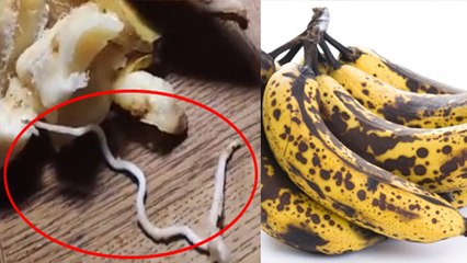 केले में कीड़े क्यों नहीं पड़ते । Kele Mein Kide Kyon Nahin Padte । Boldsky