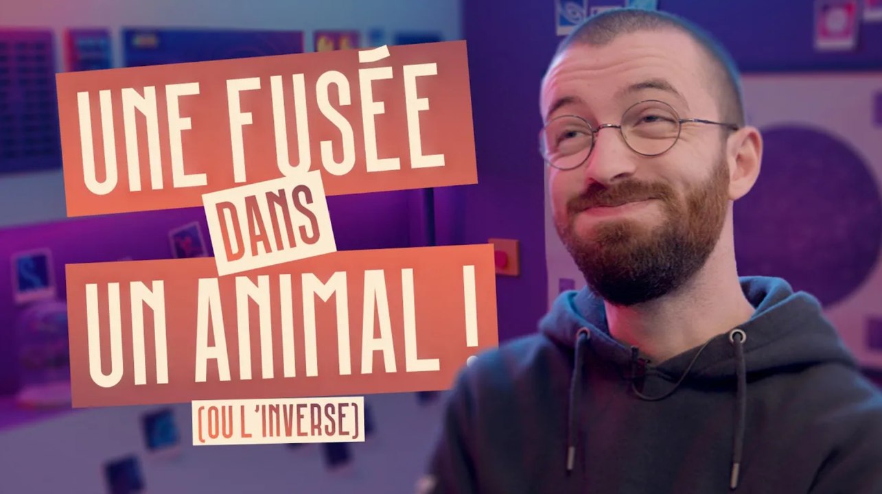 Une mouche dans une fusée, elle s'appelle Bzzz Aldrin ?