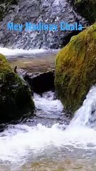 %23Naat_-_Mey_Madinay_Chala%23_YouTube%23Shorts%23Shorts_with_lyrics%23Youtube_Shorts_with_lyrics%23(720p)