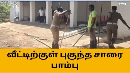 Скачать видео: தூத்துக்குடி: வீட்டிற்குள் புகுந்த சாரை பாம்பு-மிரண்டுபோன குடும்பம்