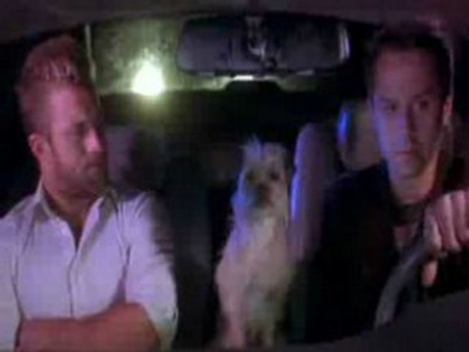 The Dog Problem trailer
