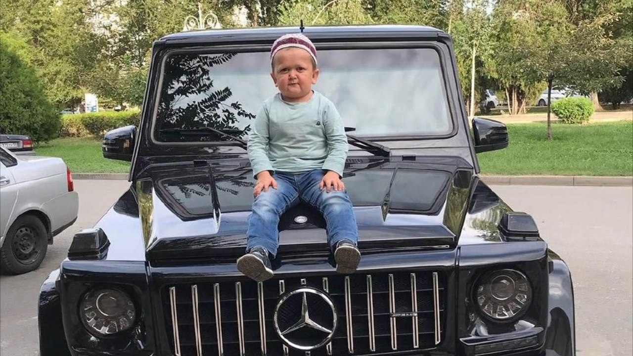 Russischer Social-Media-Star Hasbulla Magomedov festgenommen