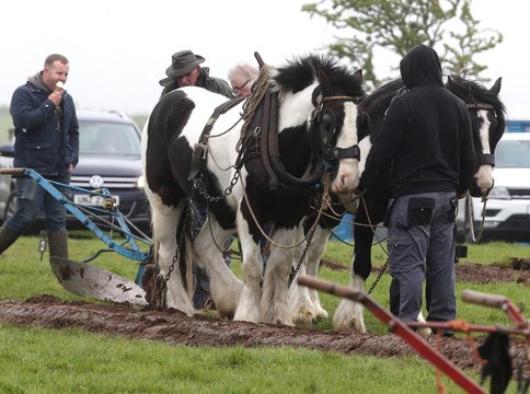 Ballycastle Horse Ploughing Society May Day competition