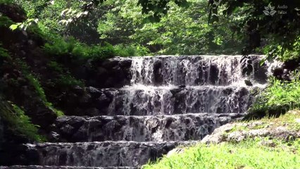 下载视频: Calming Cascade Waterfall in Forest | 1 Hour Relaxing Video (Nature Sounds)