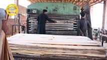 How Plywood Is Made In Factories (Mega Factories Video)