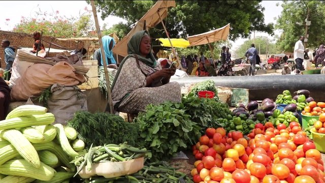 السودان.. المعارك الدائرة تخلف ركودا كبيرا بالأسواق التجارية في دارفور