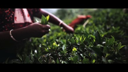 Sri Lanka - Heart of the Indian Ocean-(1080p)