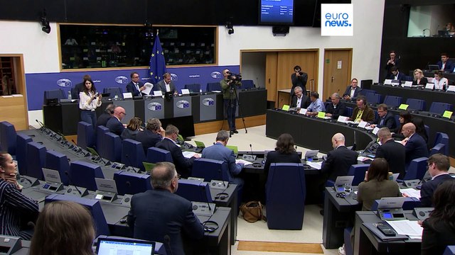 Report by MEPs urges stricter regulation for spyware across EU