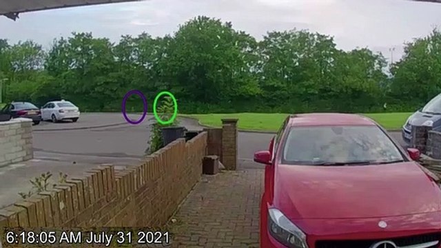 Killers Caught on Camera S01E08