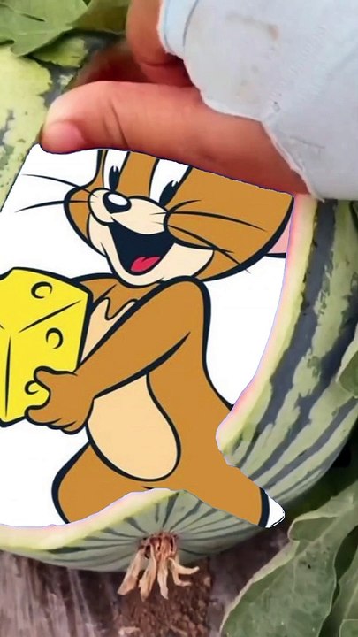 Mekymous in watermelon